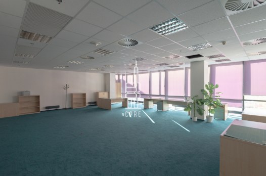 2288_7888473113.jpg